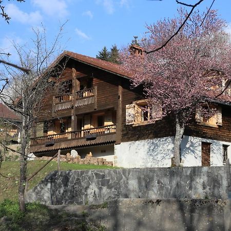 Sous Les Ecotagnes Βίλα Les Villards-sur-Thônes Εξωτερικό φωτογραφία