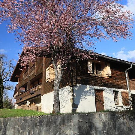 Sous Les Ecotagnes Βίλα Les Villards-sur-Thônes Εξωτερικό φωτογραφία