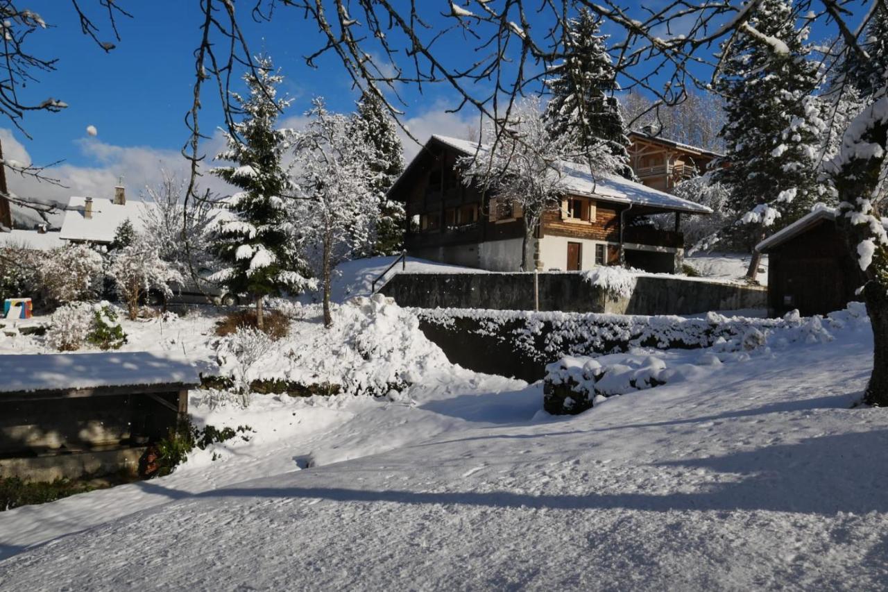 Sous Les Ecotagnes Βίλα Les Villards-sur-Thônes Εξωτερικό φωτογραφία