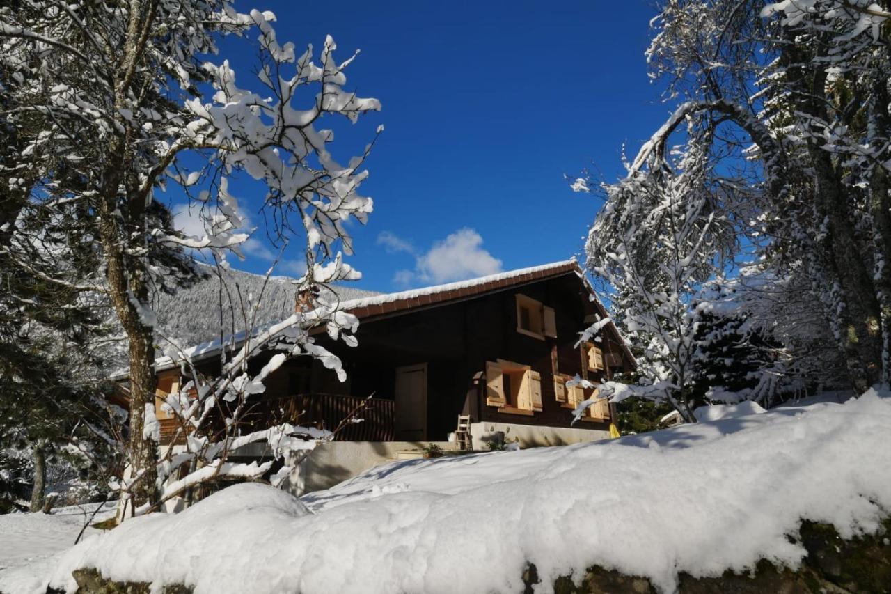 Sous Les Ecotagnes Βίλα Les Villards-sur-Thônes Εξωτερικό φωτογραφία