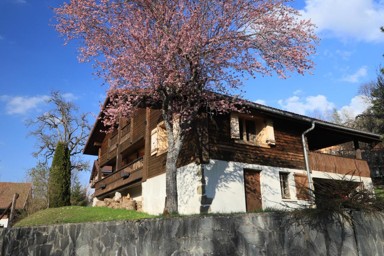 Sous Les Ecotagnes Βίλα Les Villards-sur-Thônes Εξωτερικό φωτογραφία